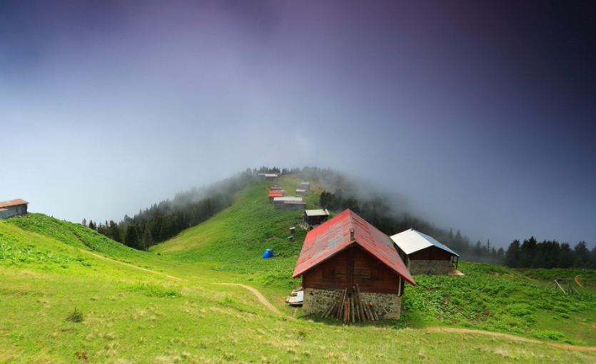 Pokut Yaylası