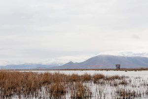 Sultan Sazlığı Hiking